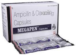 MEGAPEN CAP 500MG